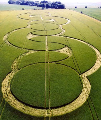 crop-circle3