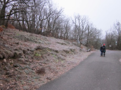 Šobes - pohled do údolí Dyje (2)