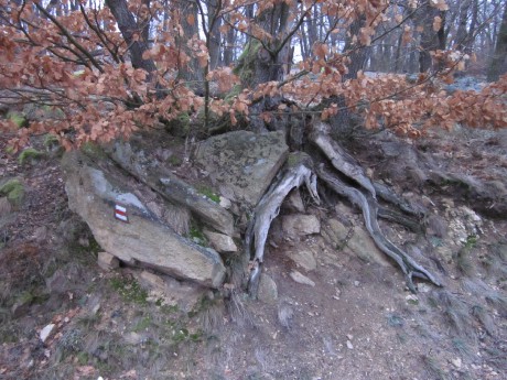 Šobes - pohled na okraj cesty