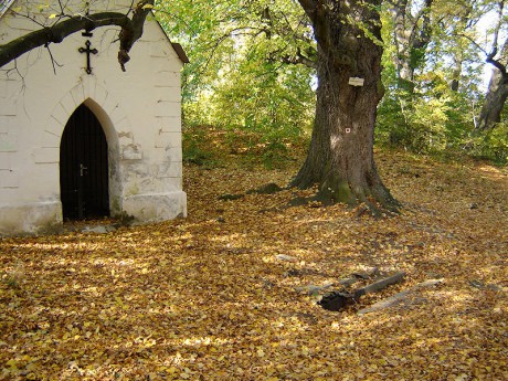 Samaritánka Znojmo Hradiště