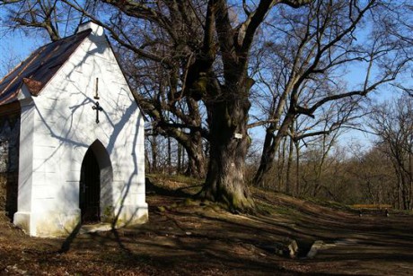 Studánka U Samaritánky Znojmo Hradiště
