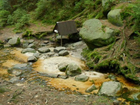 Sříbrný pramen Vl. rokle