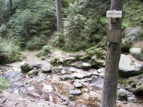 Stříbrný pramen ve Vlčí rokli