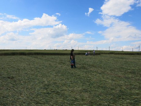 Boskovice 1 7 14 3309