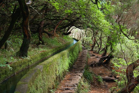 Madeira - levada II