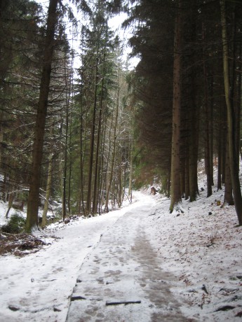 Teplické skály v zimě