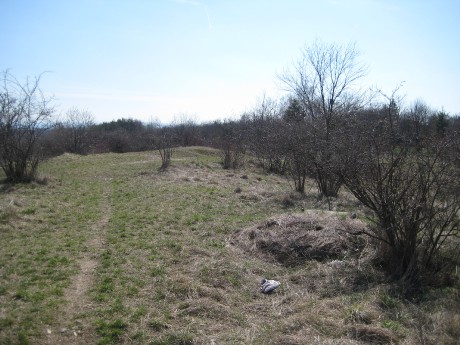 Stránská skála III