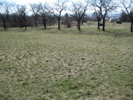 Stránská skála VIII