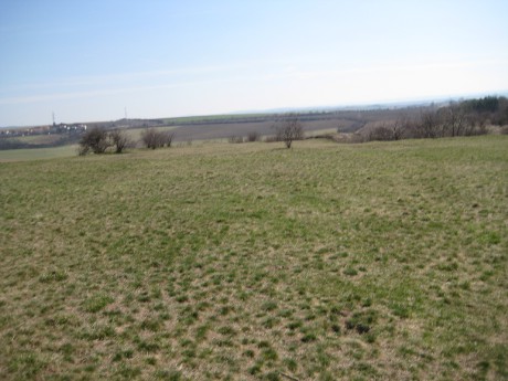 Stránská skála IX