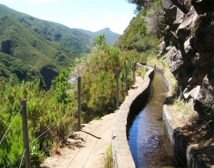 madeira-levada-iv.jpg