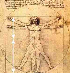 vitruvian-man-fb.jpg