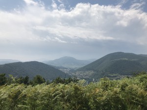 img_0206.jpg