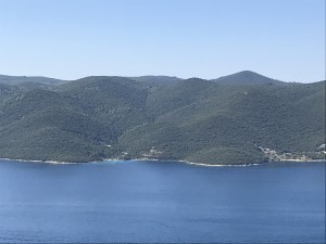 img_0605.jpg