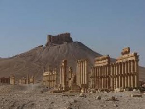 syrie--oaza-palmyra.jpg