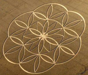 floweroflife.jpeg