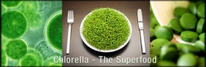 chlorella-the-superfood.jpg